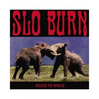 /thumbs/fit-400x400/2017-05::1495554227-slo-burn-amusing-the-amazing.jpeg
