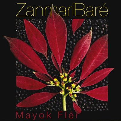 /thumbs/fit-400x400/2017-06::1496622141-1468761138-zanmari-bare-mayok-fler.jpg