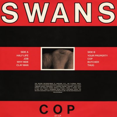 /thumbs/fit-400x400/2017-12::1514506938-swans-cop.jpg
